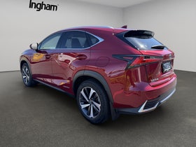 2020 Lexus NX300H | LIMITED 2.5PH/4WD | 29555 | 6