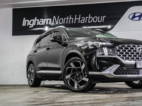 2023 Hyundai Santa Fe | TM LIMITED 2.2DT/4WD | 33427 | 6