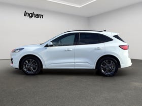 2023 Ford Escape | ST-LINE, FHEV, 2.5L Petrol-Hydrid, SUV. | 28267 | 4