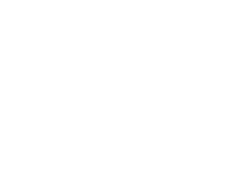 Ingham Ford logo